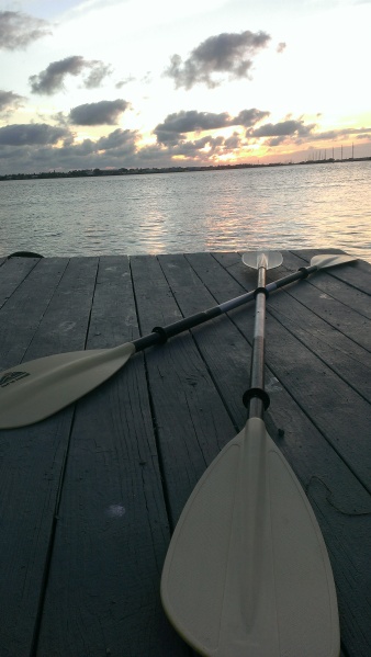 paddles-at-sunset